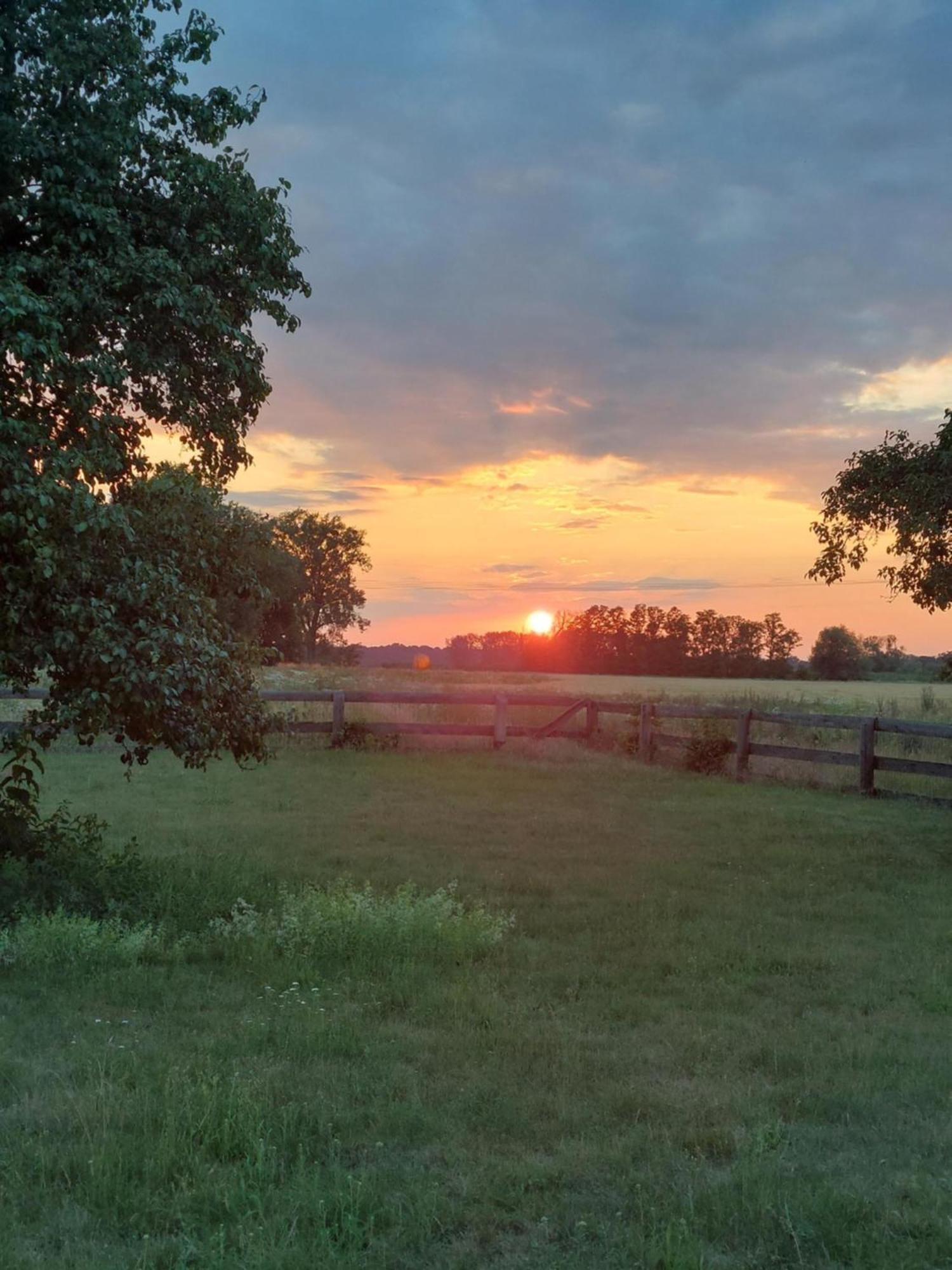 Sohl Farm Apartments Neutrebbin エクステリア 写真